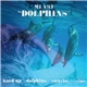 Mi Ami - Dolphins